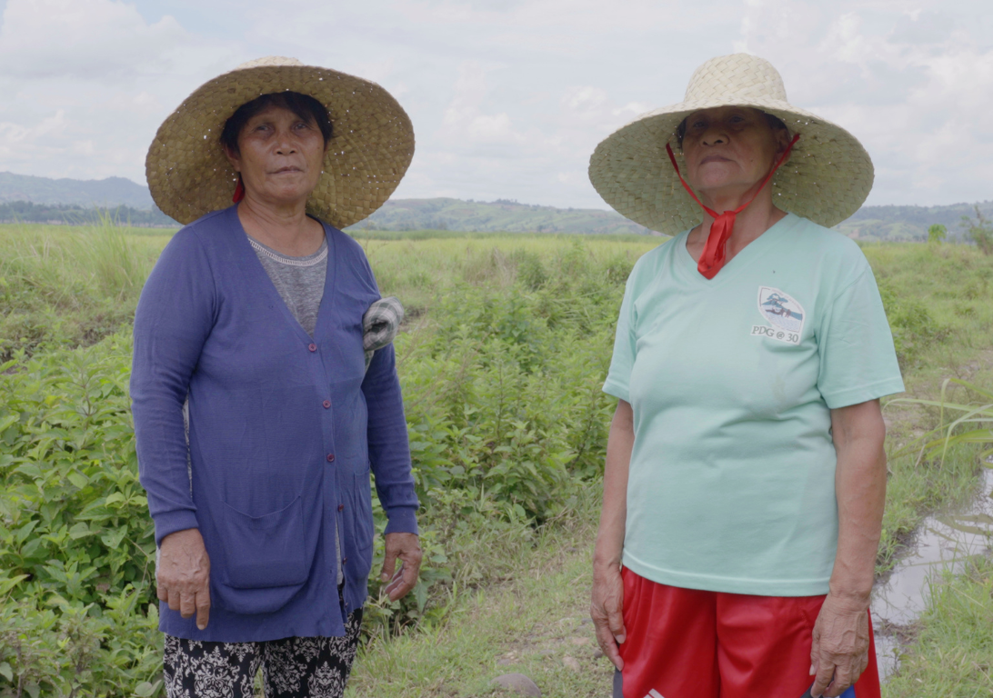 Enzo Camacho and Ami Lien, Langit Lupa (Heaven and Earth), 2023. Film still. Courtesy of the artists. Landscape view of green sugarcane fields and mountains in the Philippines.