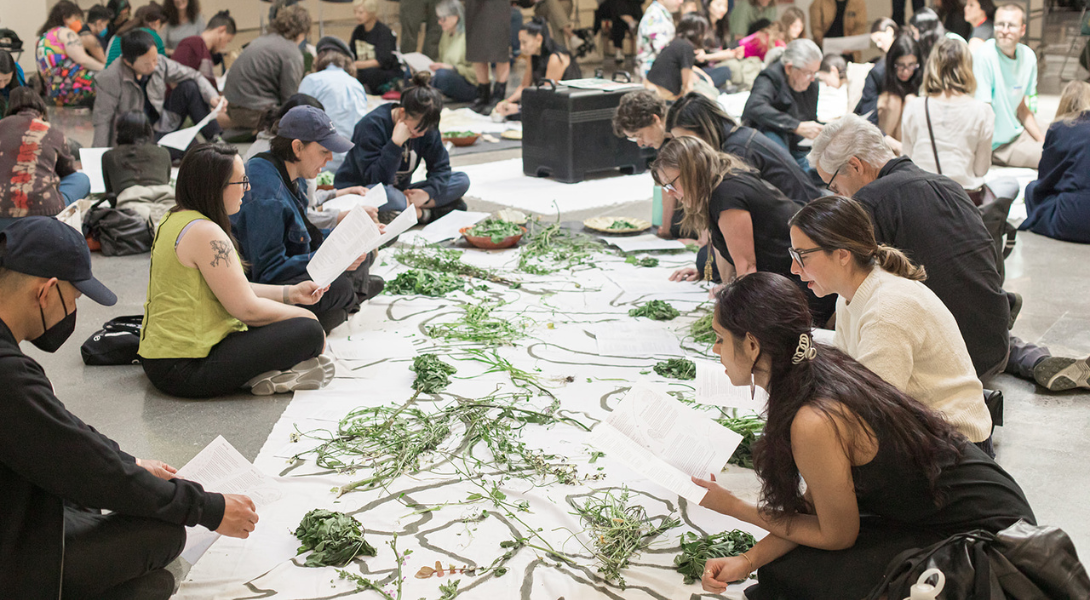 Seeds and a dish with chicken and berries on a decorative table